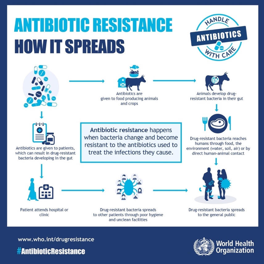 Antimicrobial Resistance National Centre For Infectious Diseases
